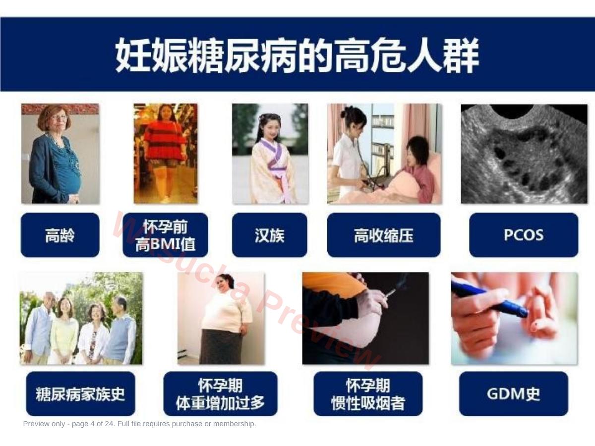 预览第 4 页