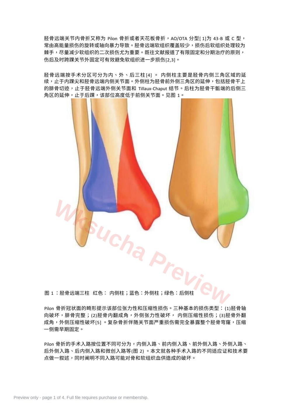 Pilon骨折的手术入路解析