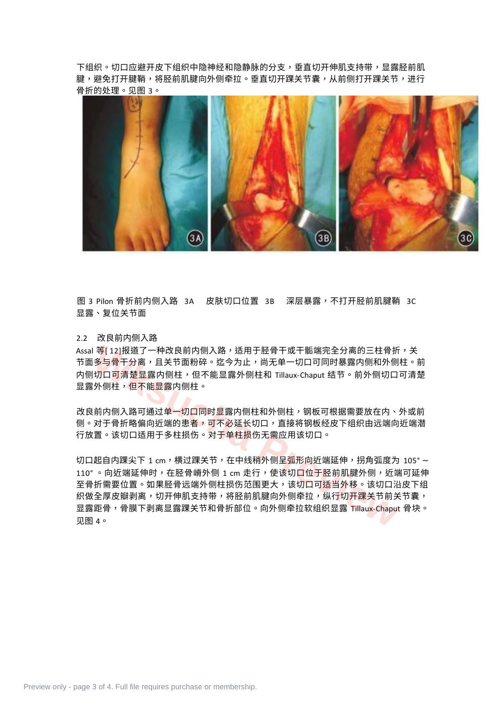 预览第 3 页