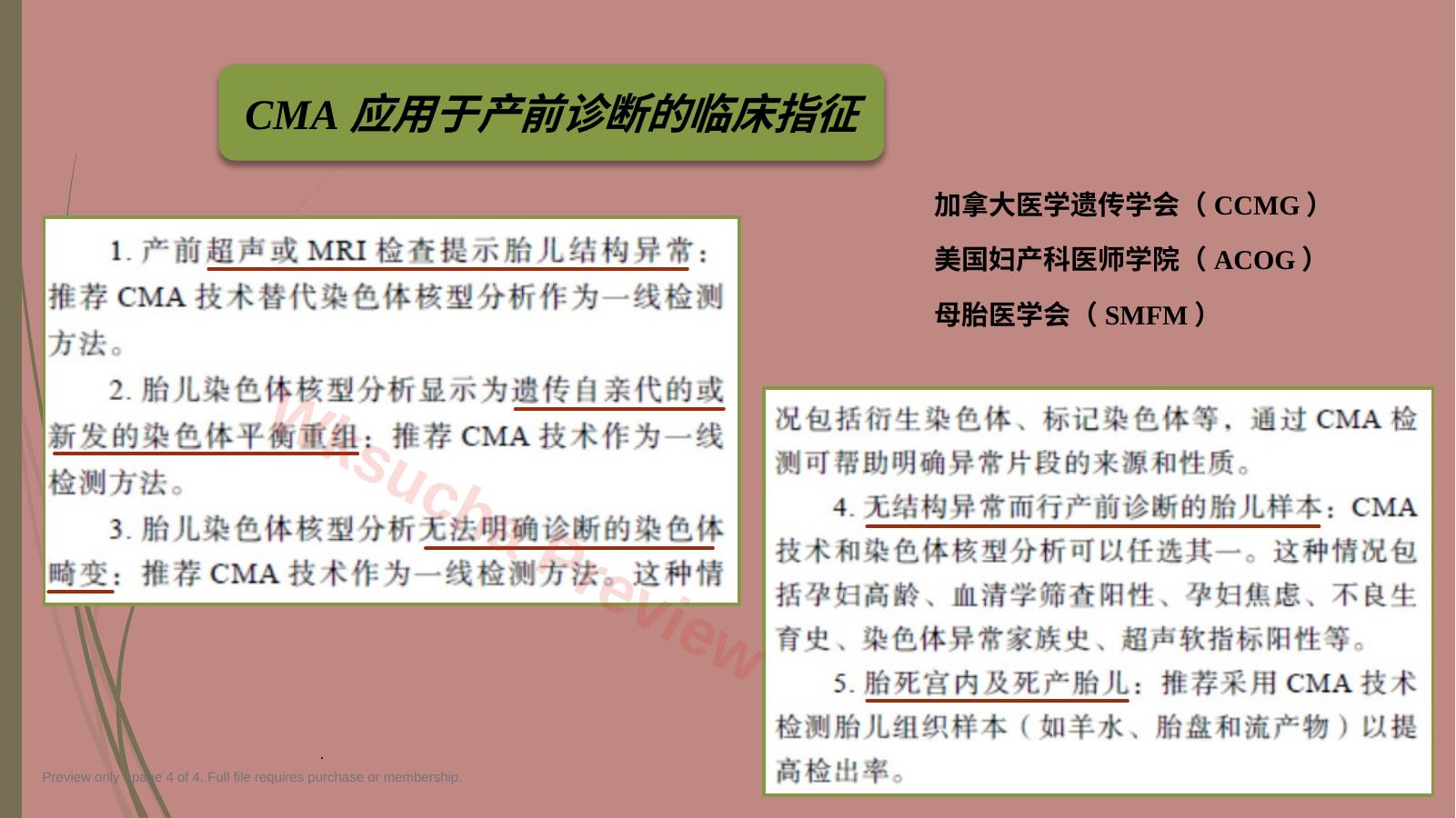 预览第 4 页