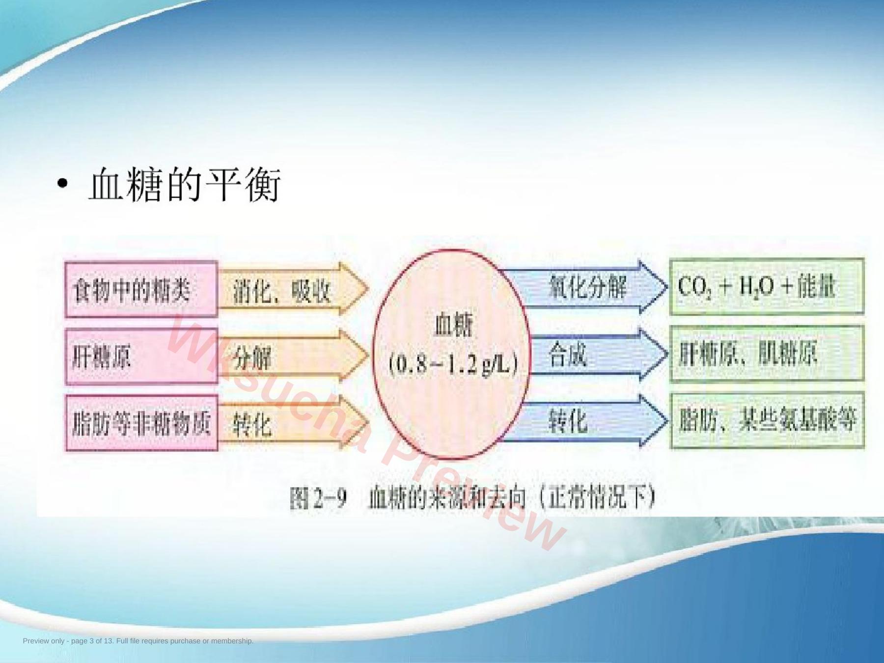 预览第 3 页