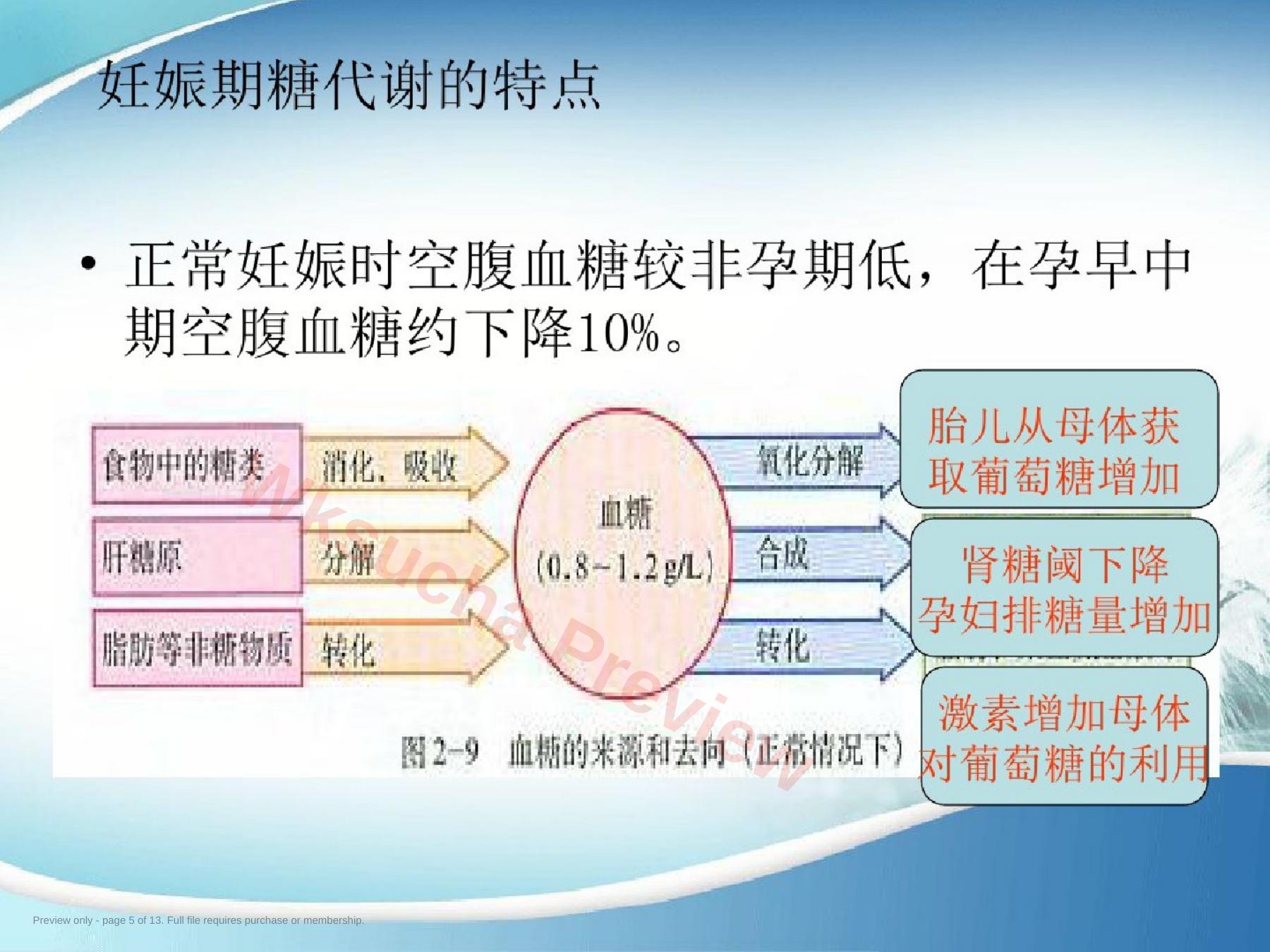 预览第 5 页