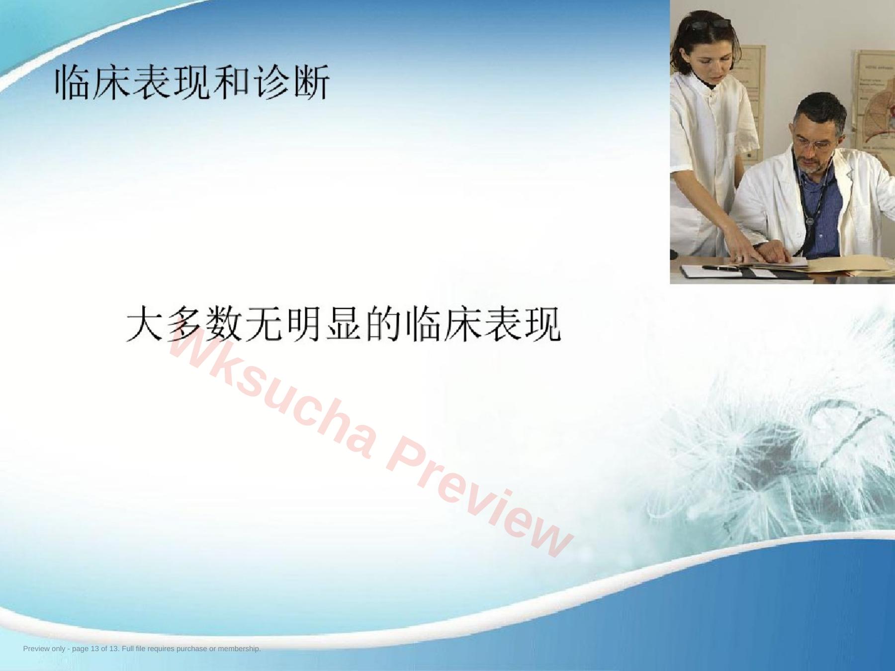 预览第 13 页