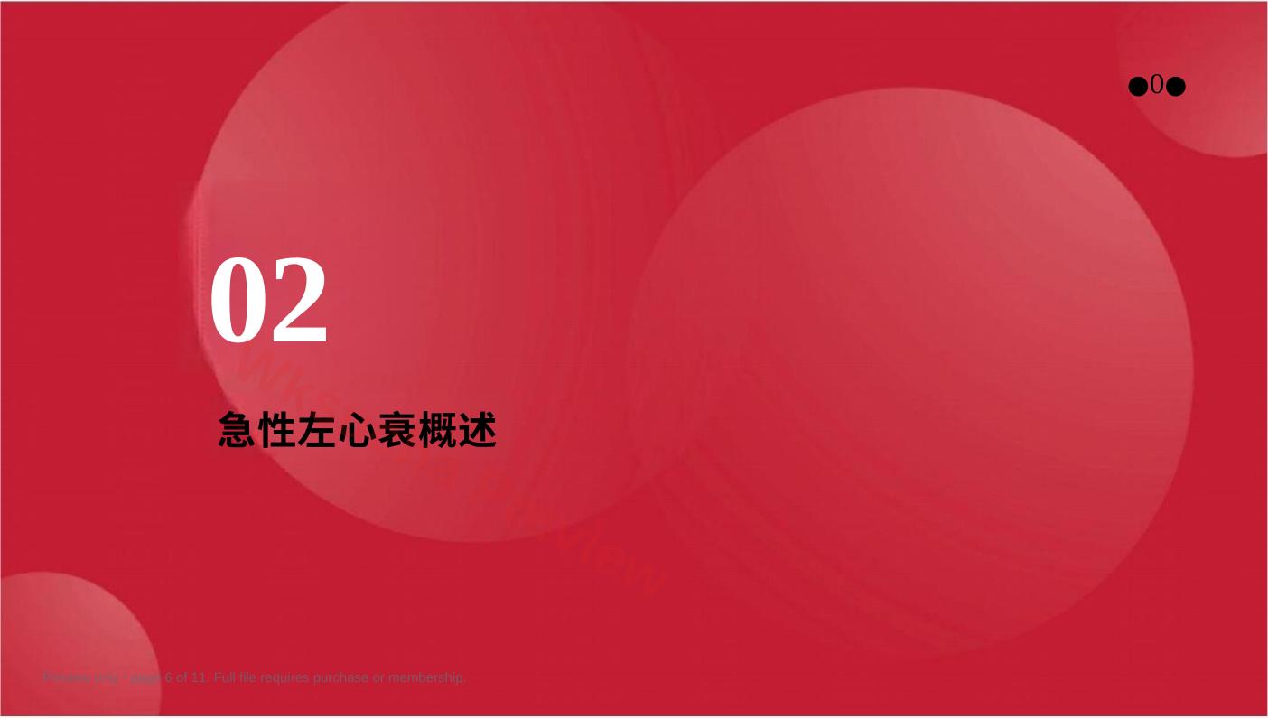 预览第 6 页
