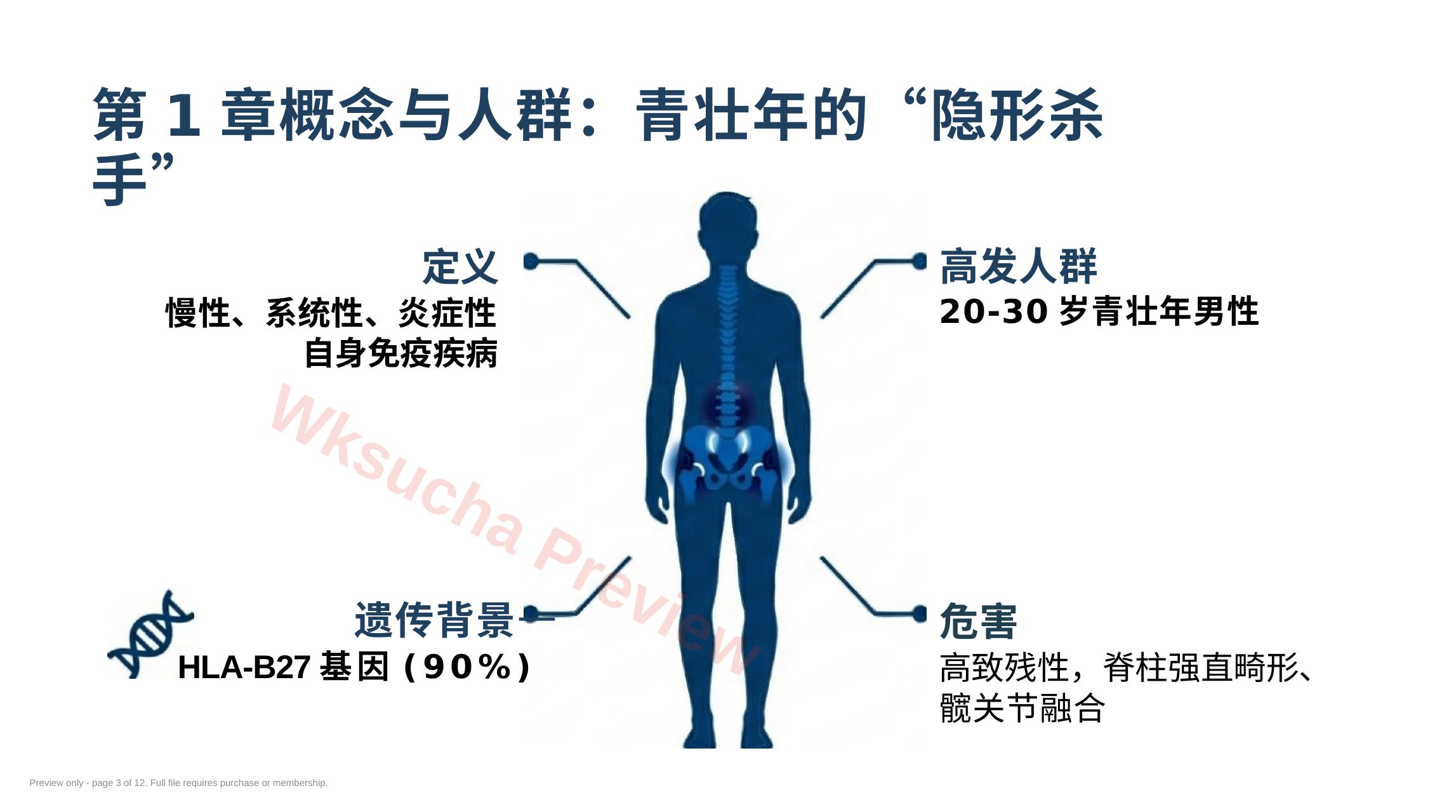 预览第 3 页