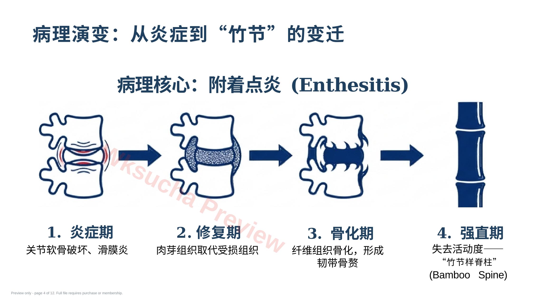预览第 4 页