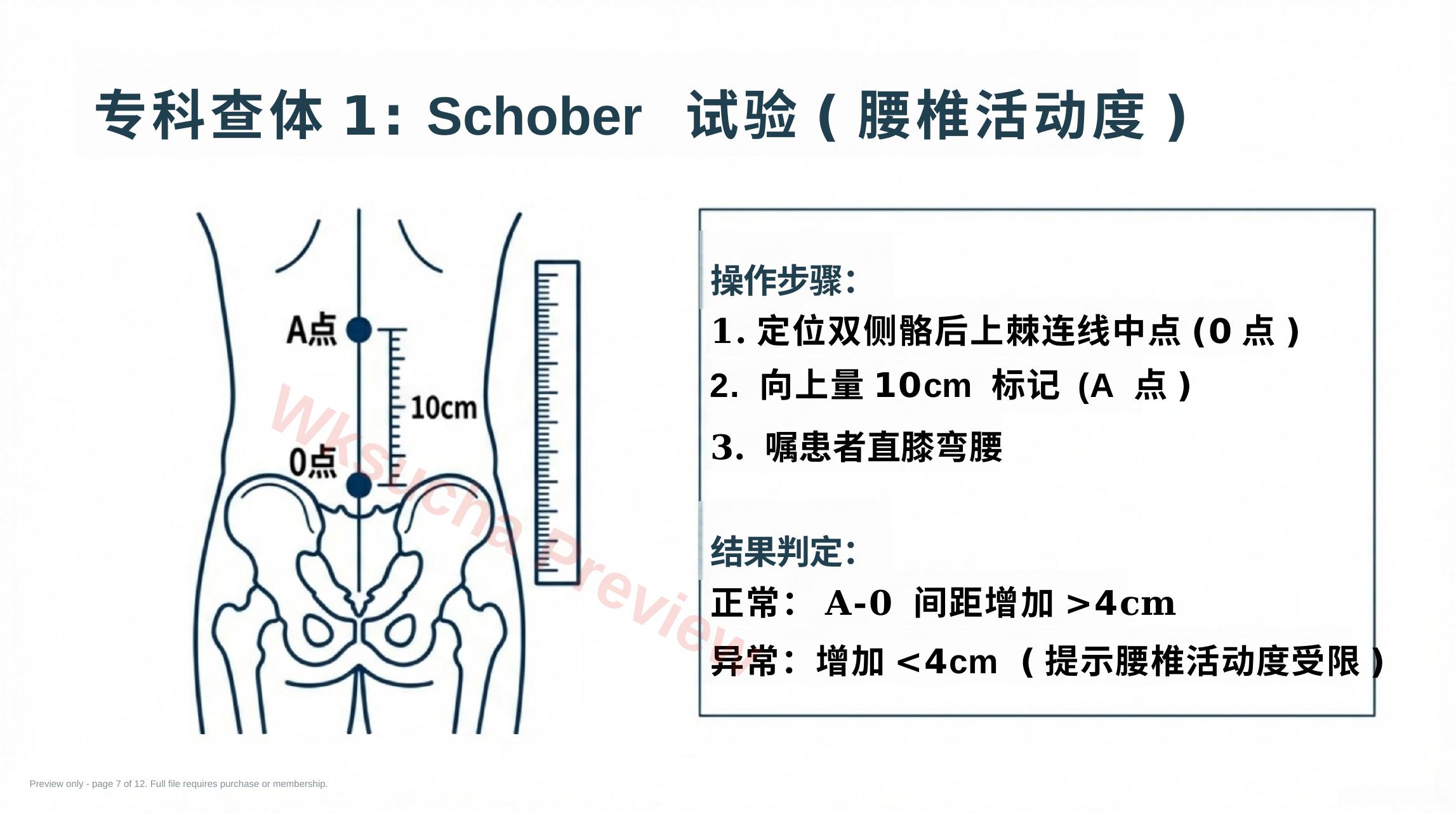 预览第 7 页