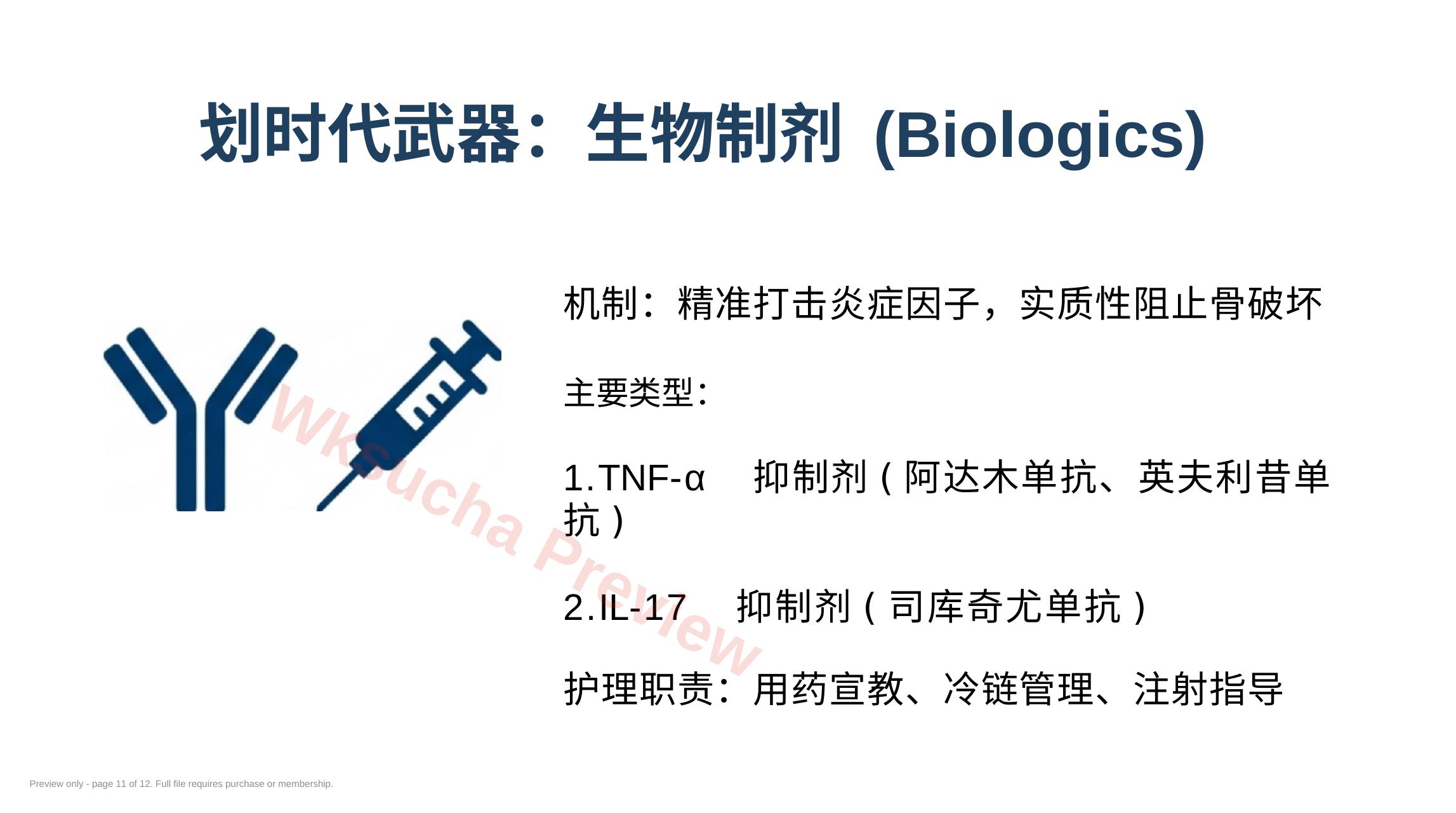 预览第 11 页
