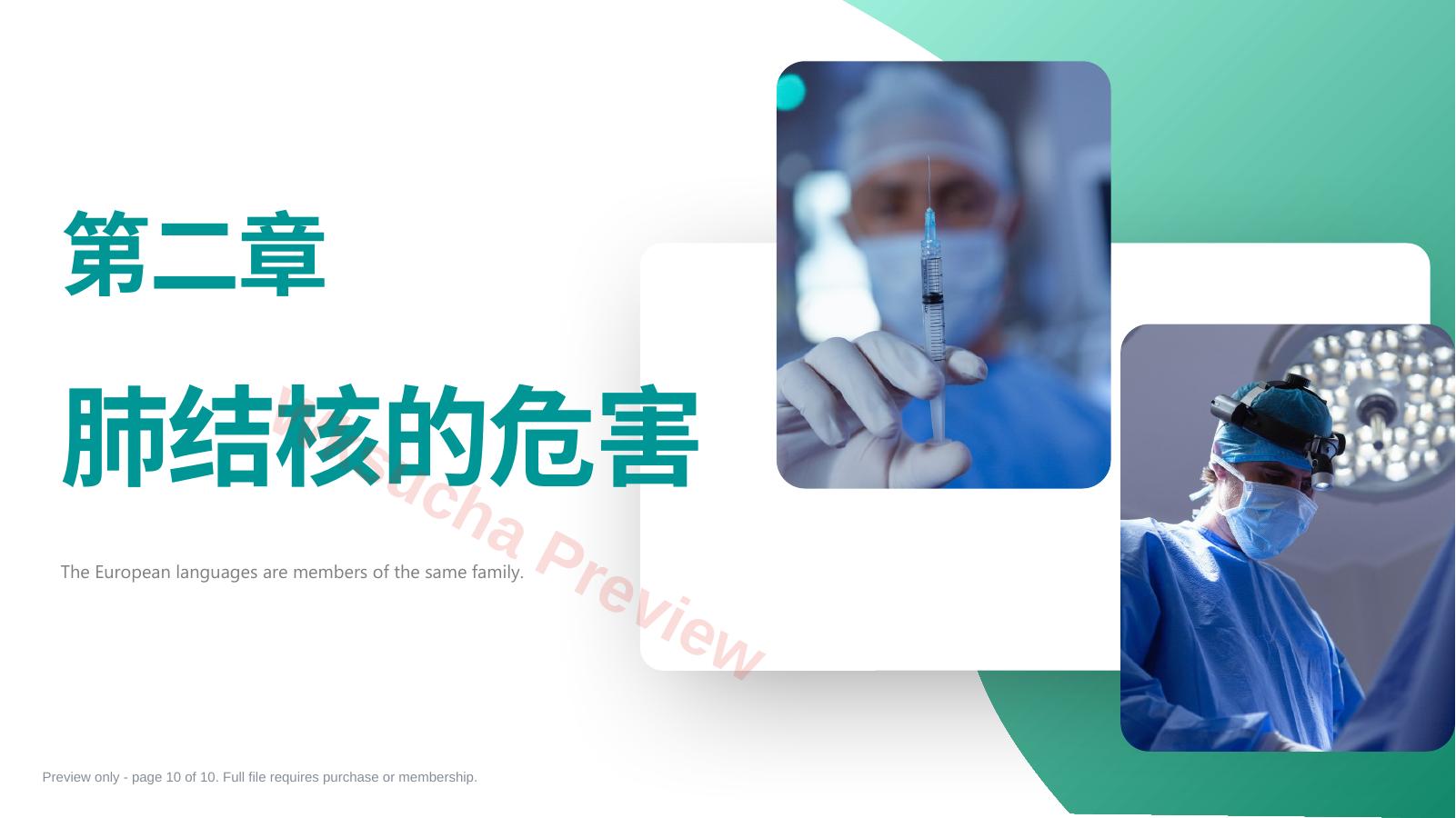 预览第 10 页