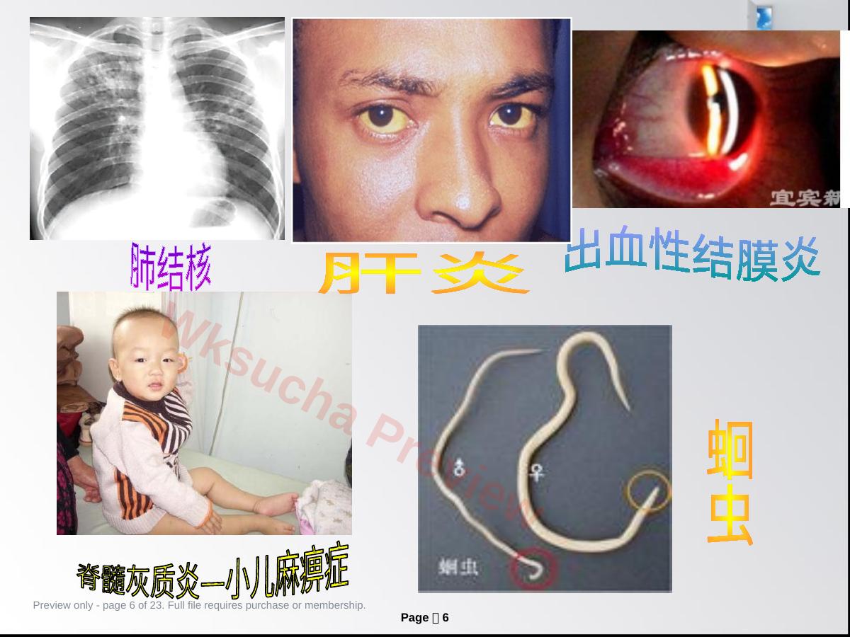 预览第 6 页