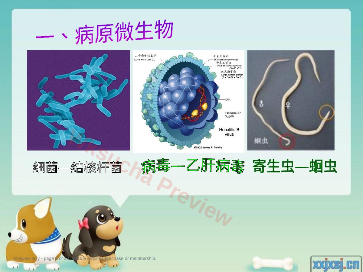 预览第 8 页
