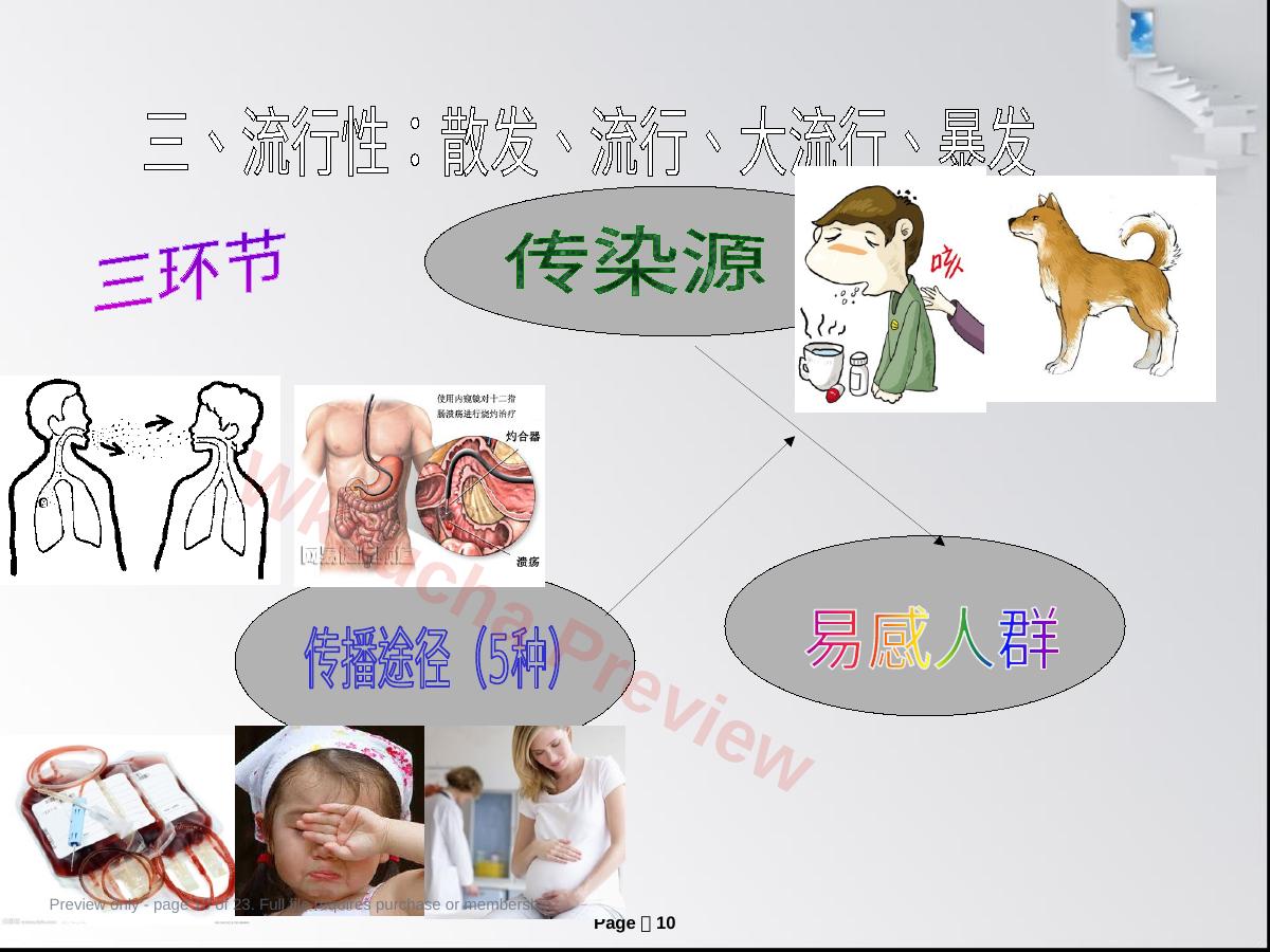 预览第 10 页