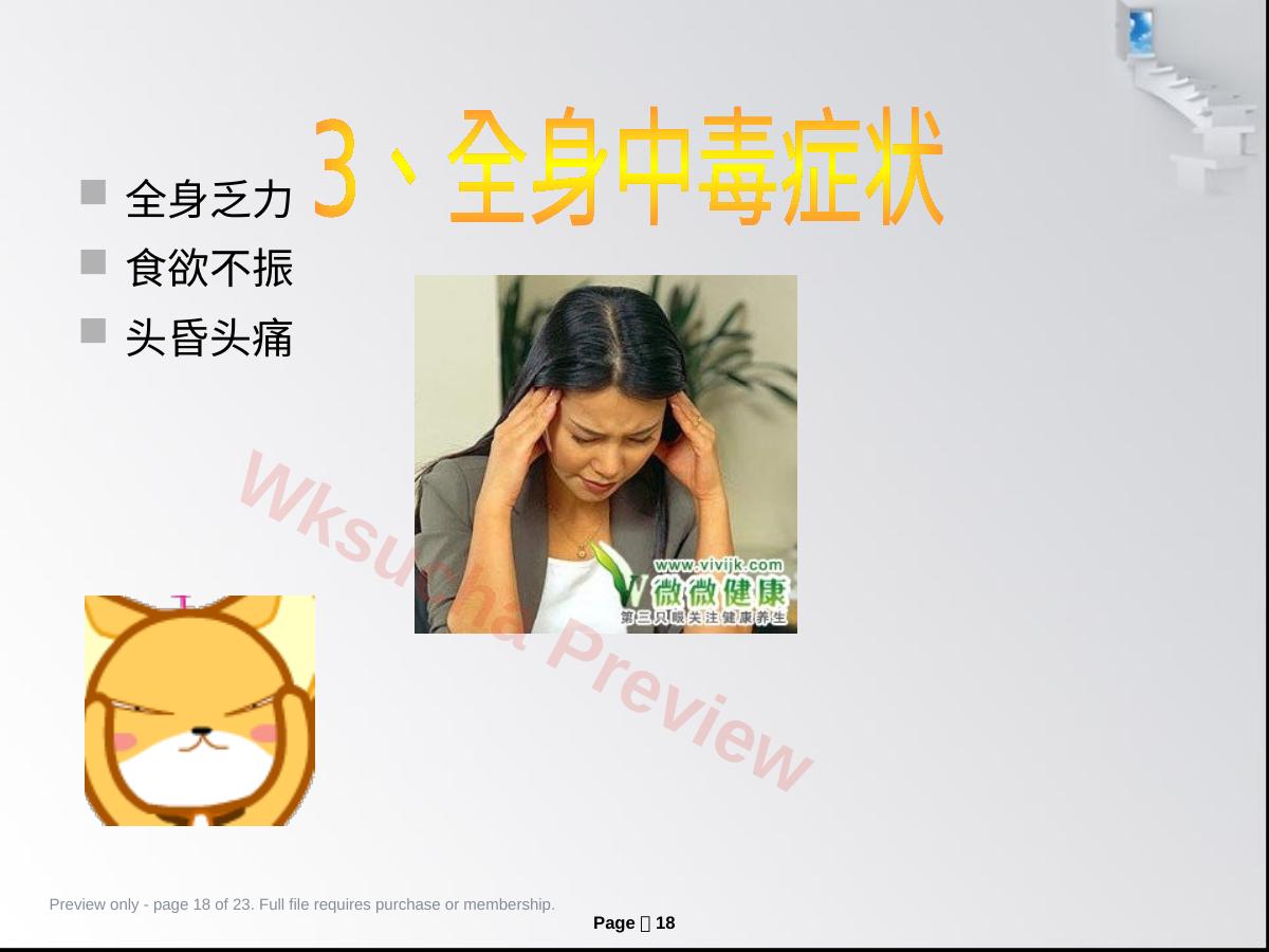 预览第 18 页