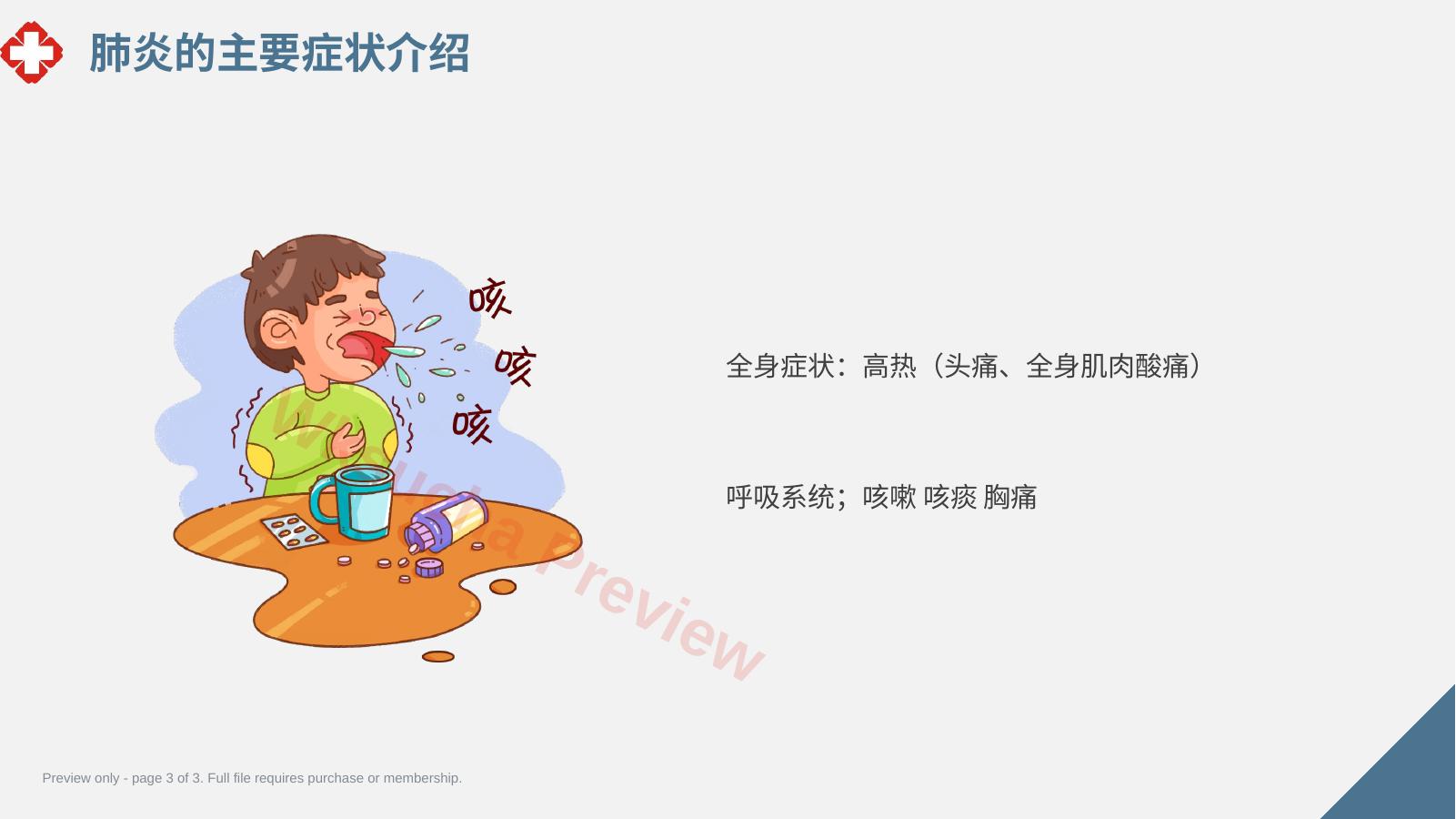 预览第 3 页
