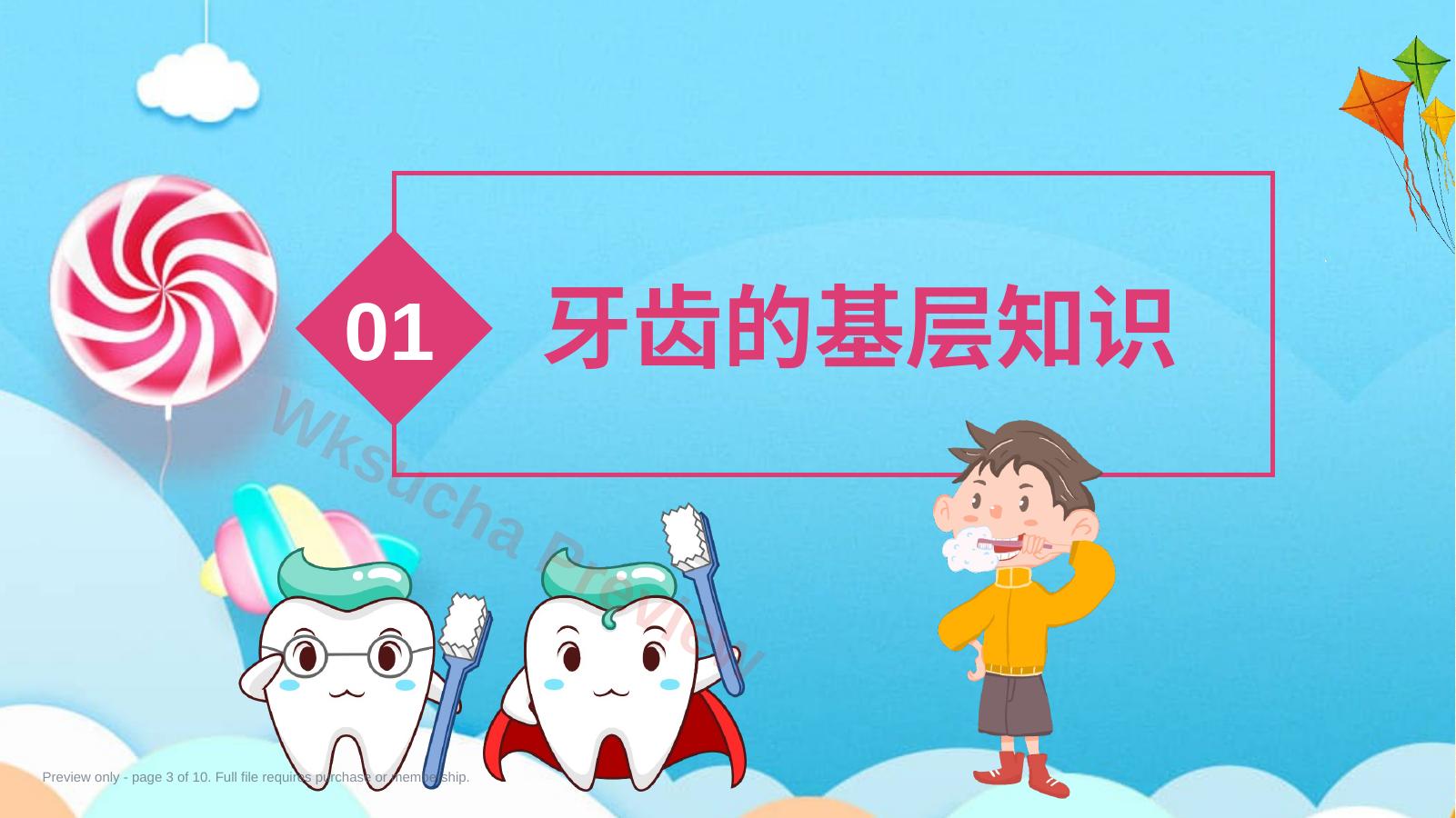 预览第 3 页