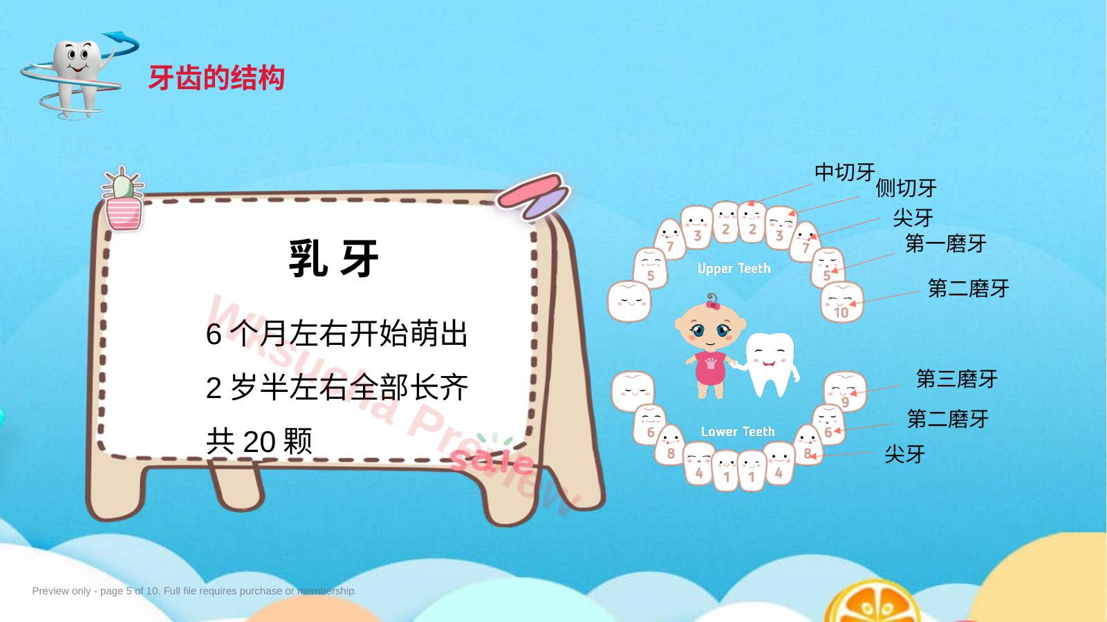 预览第 5 页