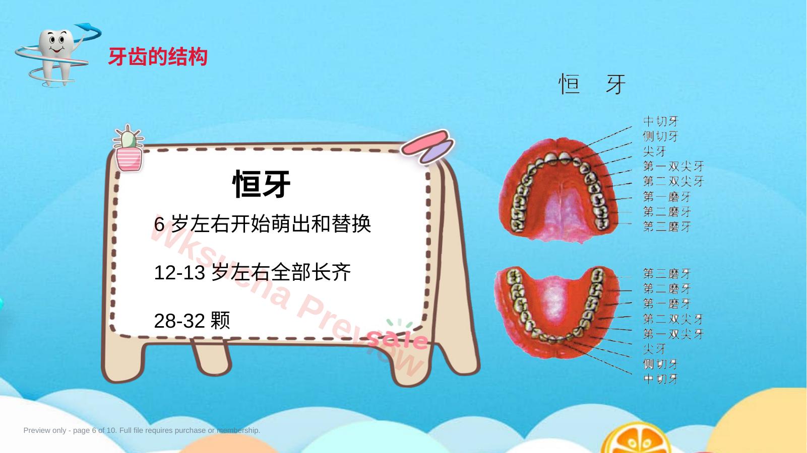 预览第 6 页