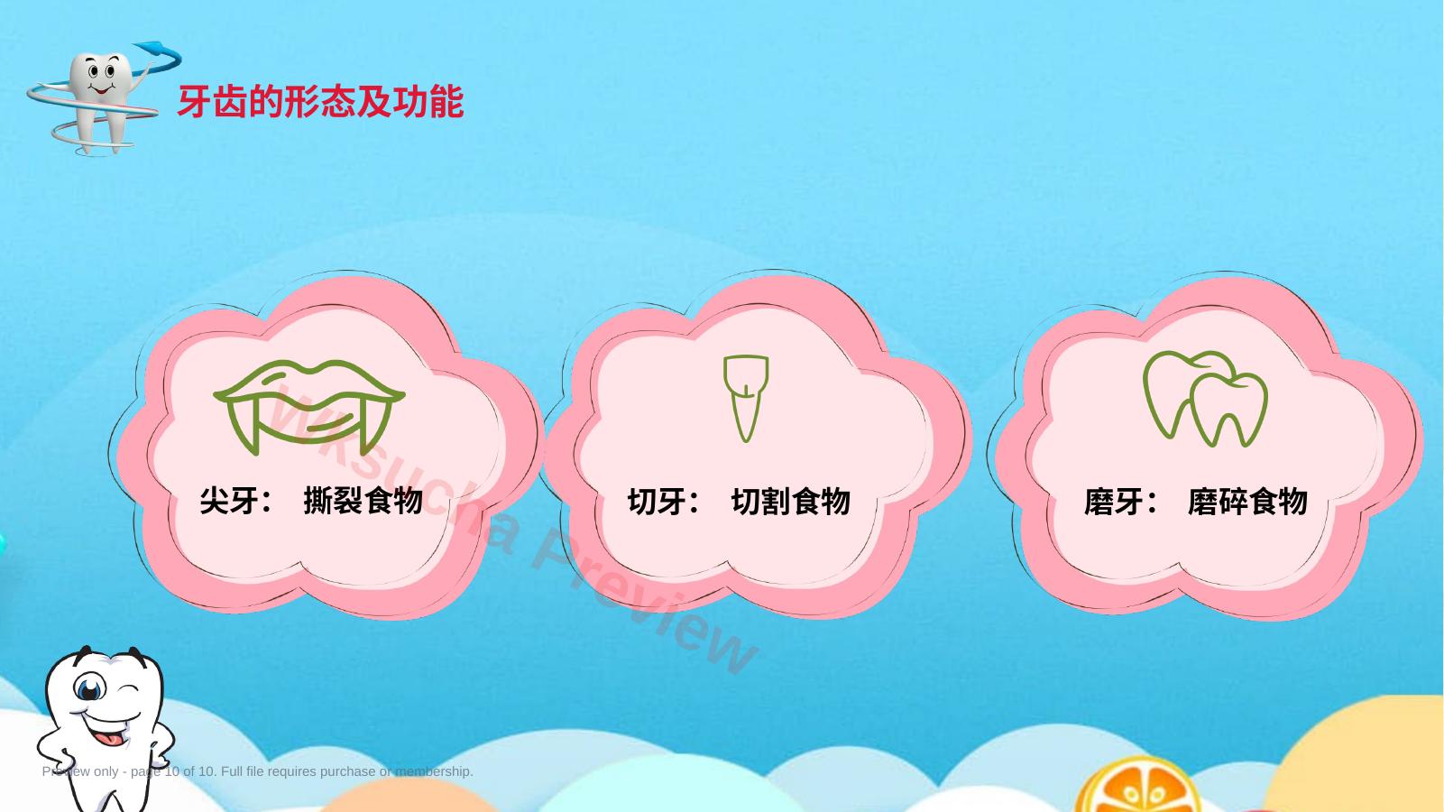 预览第 10 页