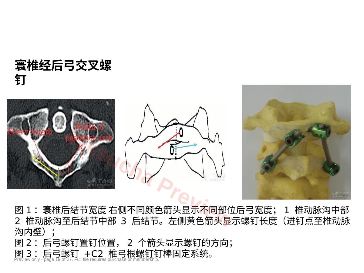 预览第 19 页