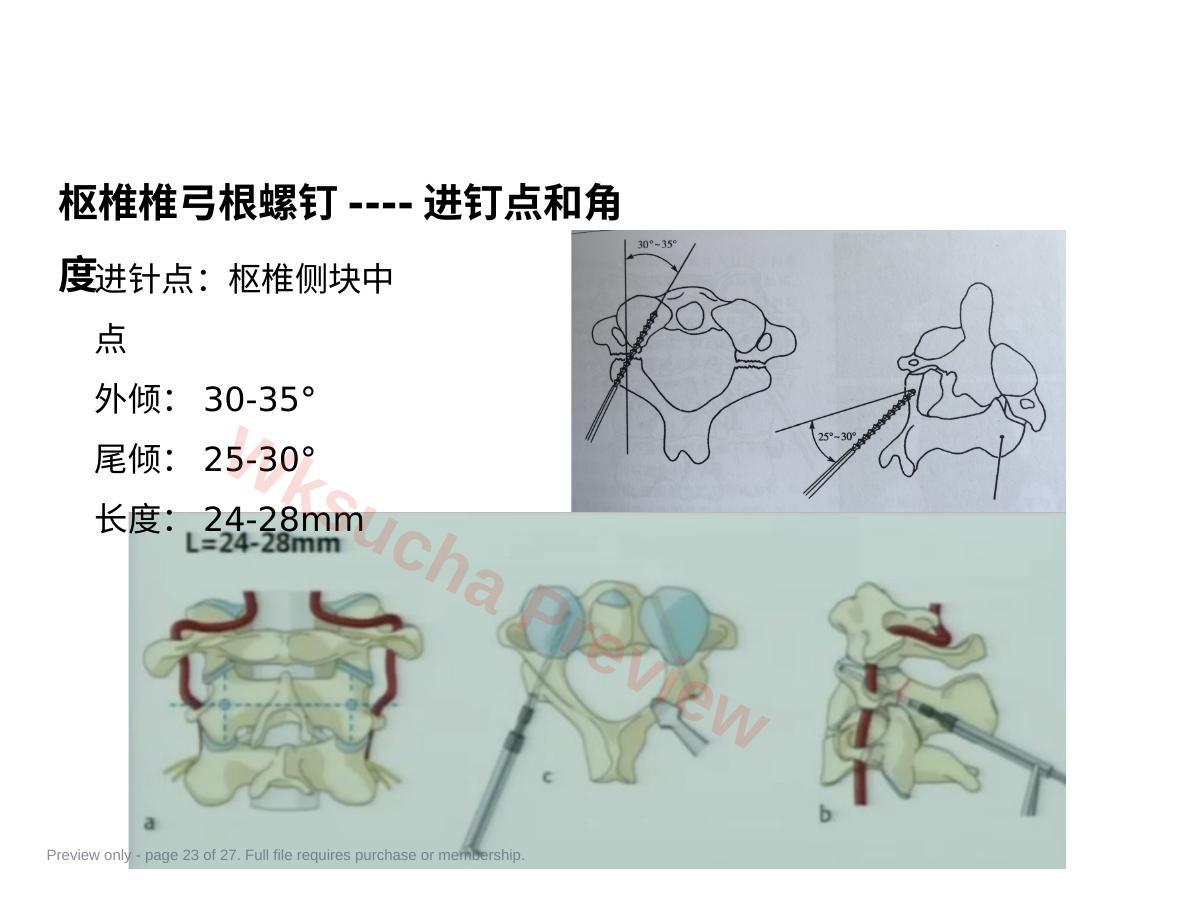 预览第 23 页