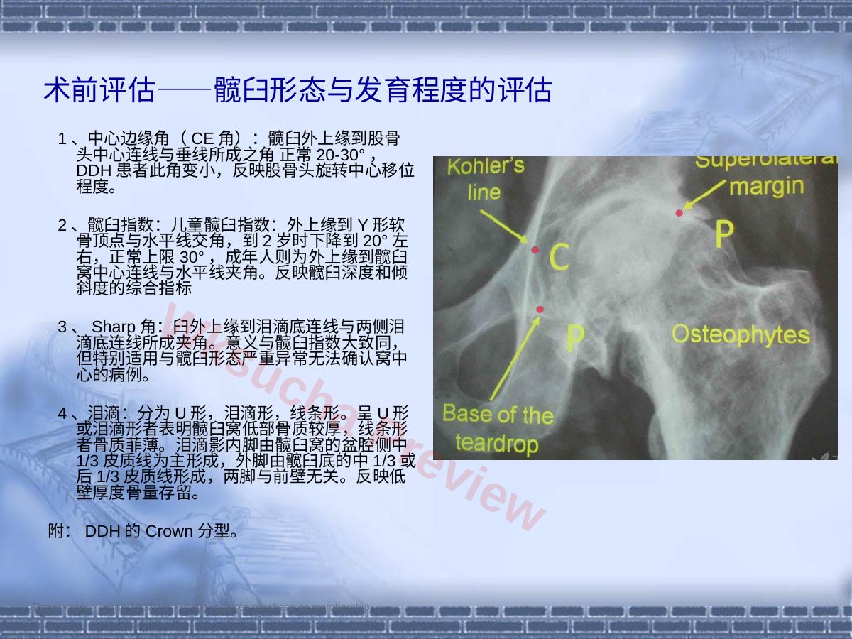 预览第 12 页