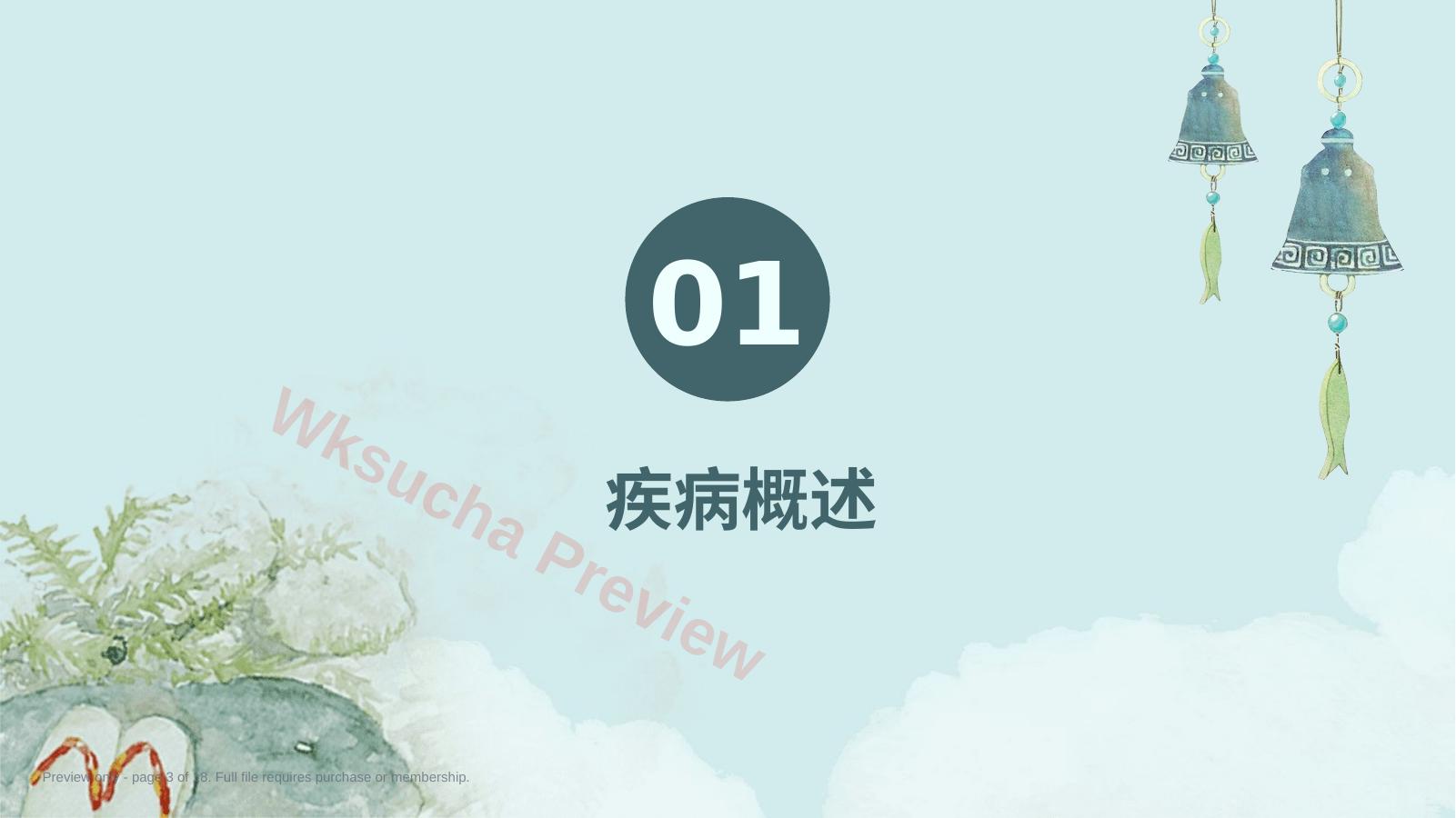 预览第 3 页