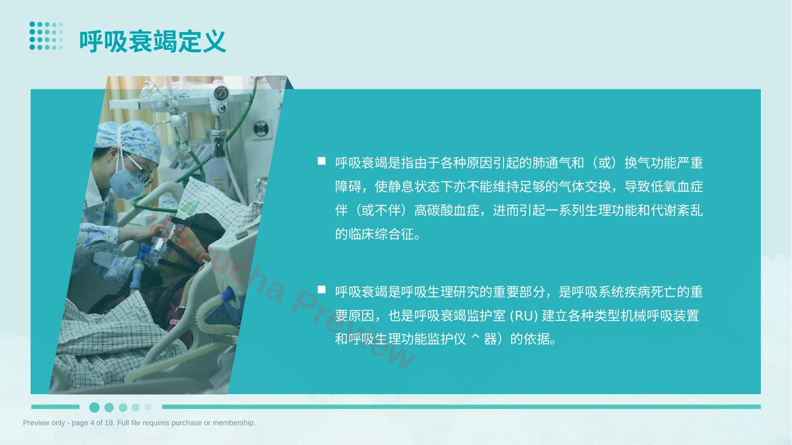 预览第 4 页
