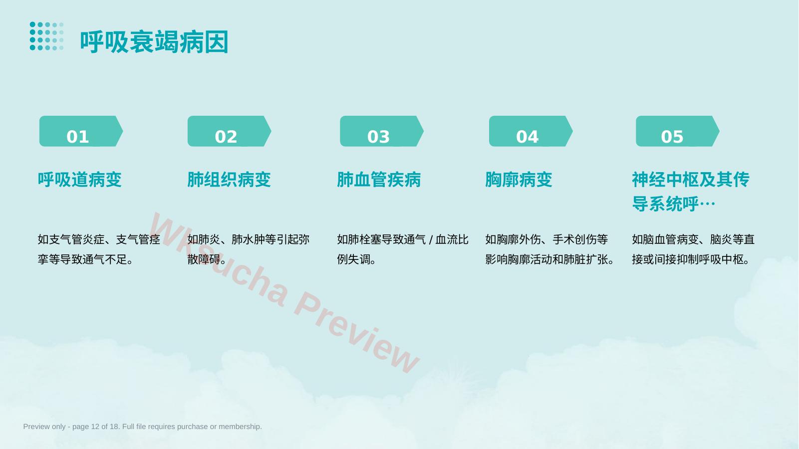 预览第 12 页