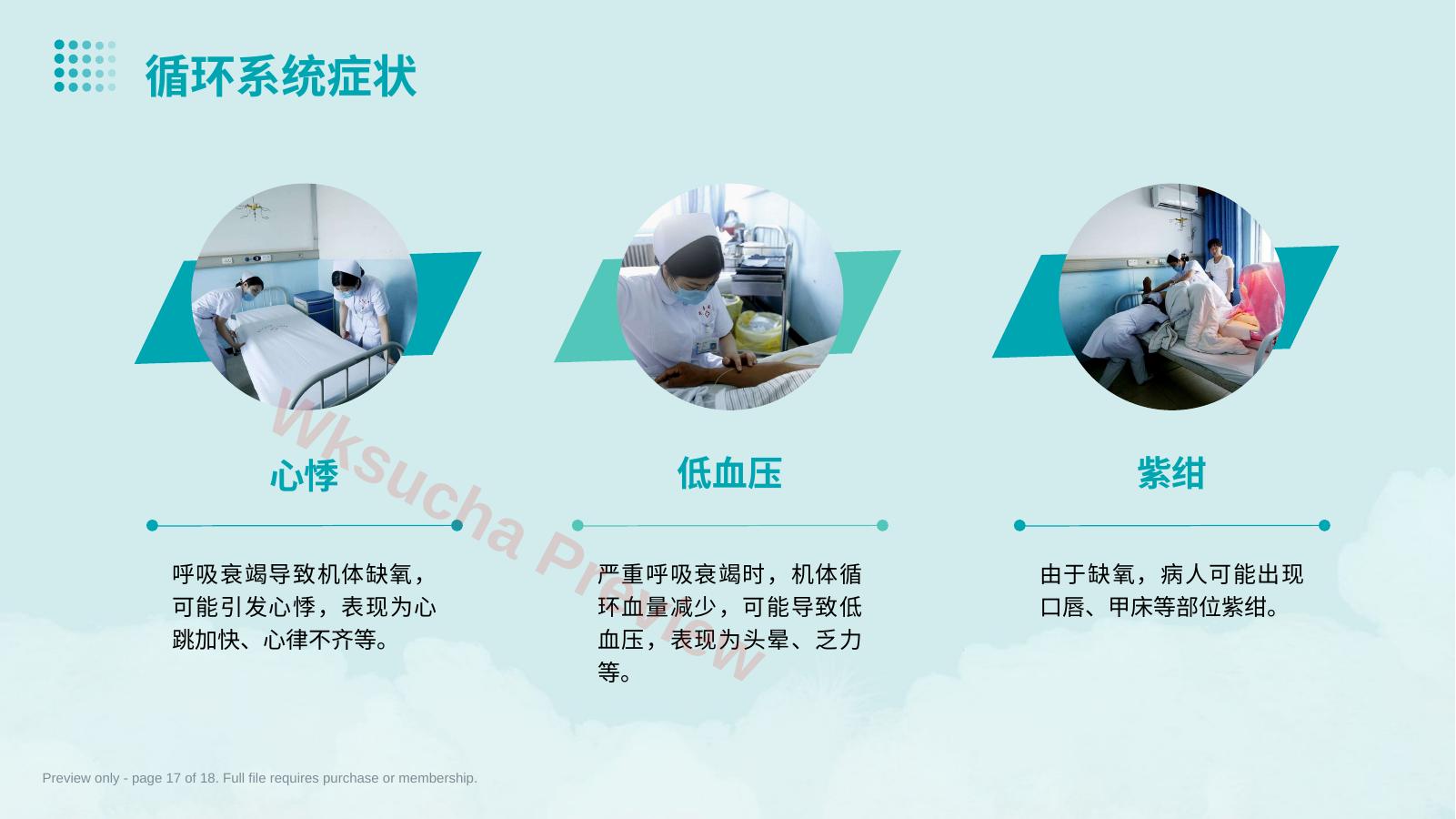 预览第 17 页
