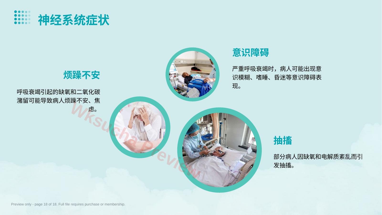 预览第 18 页