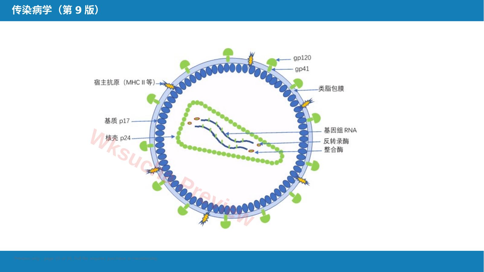 预览第 10 页