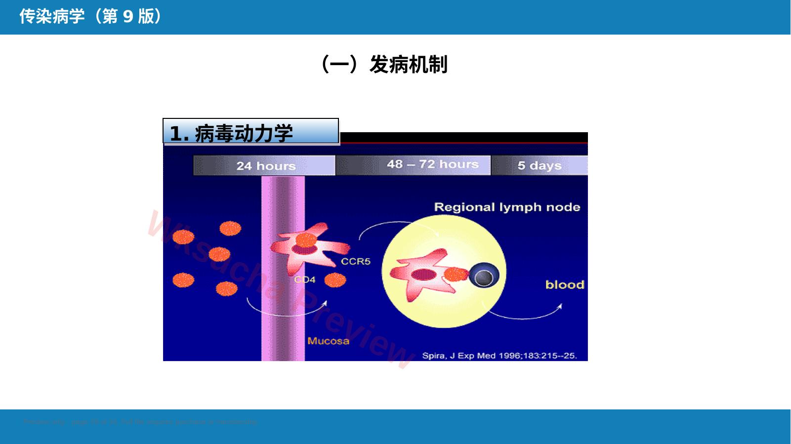 预览第 29 页