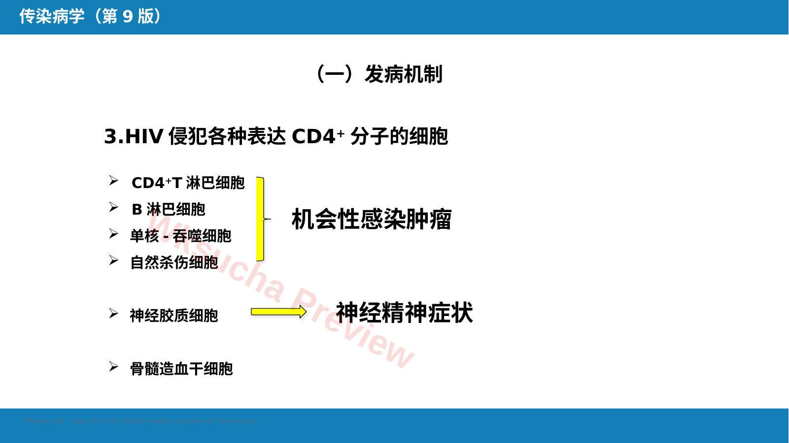 预览第 31 页
