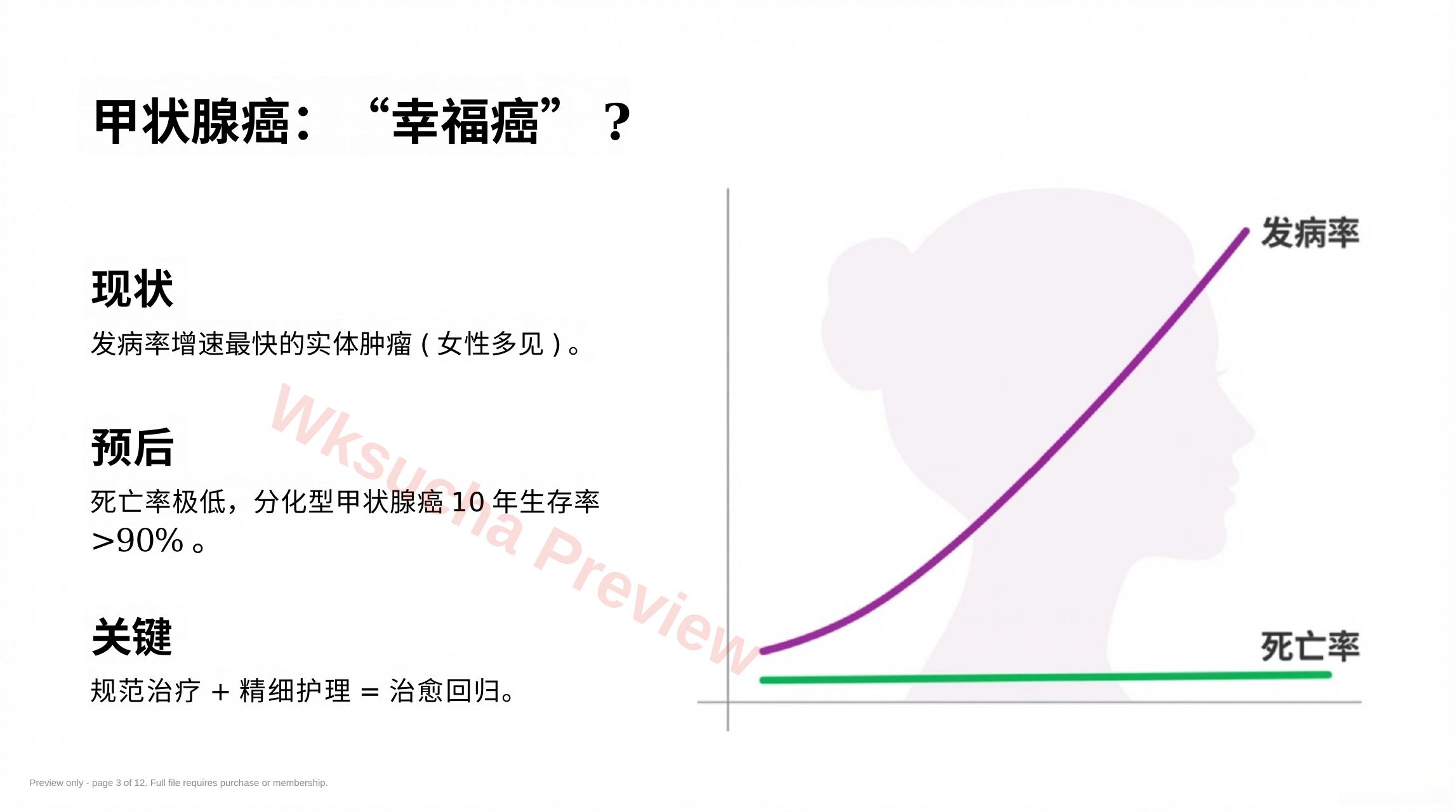 预览第 3 页