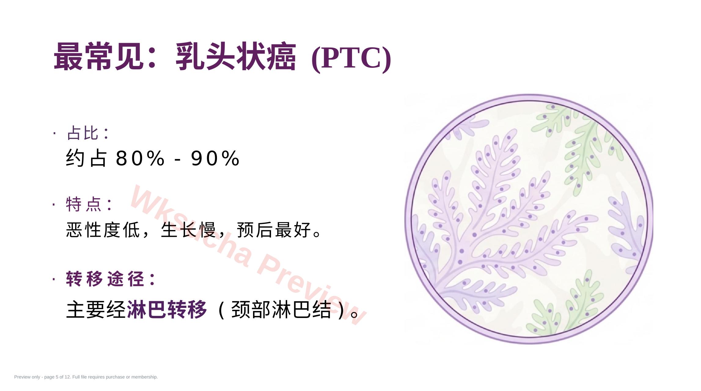 预览第 5 页