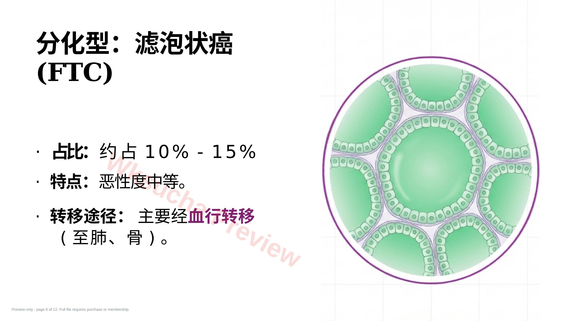 预览第 6 页