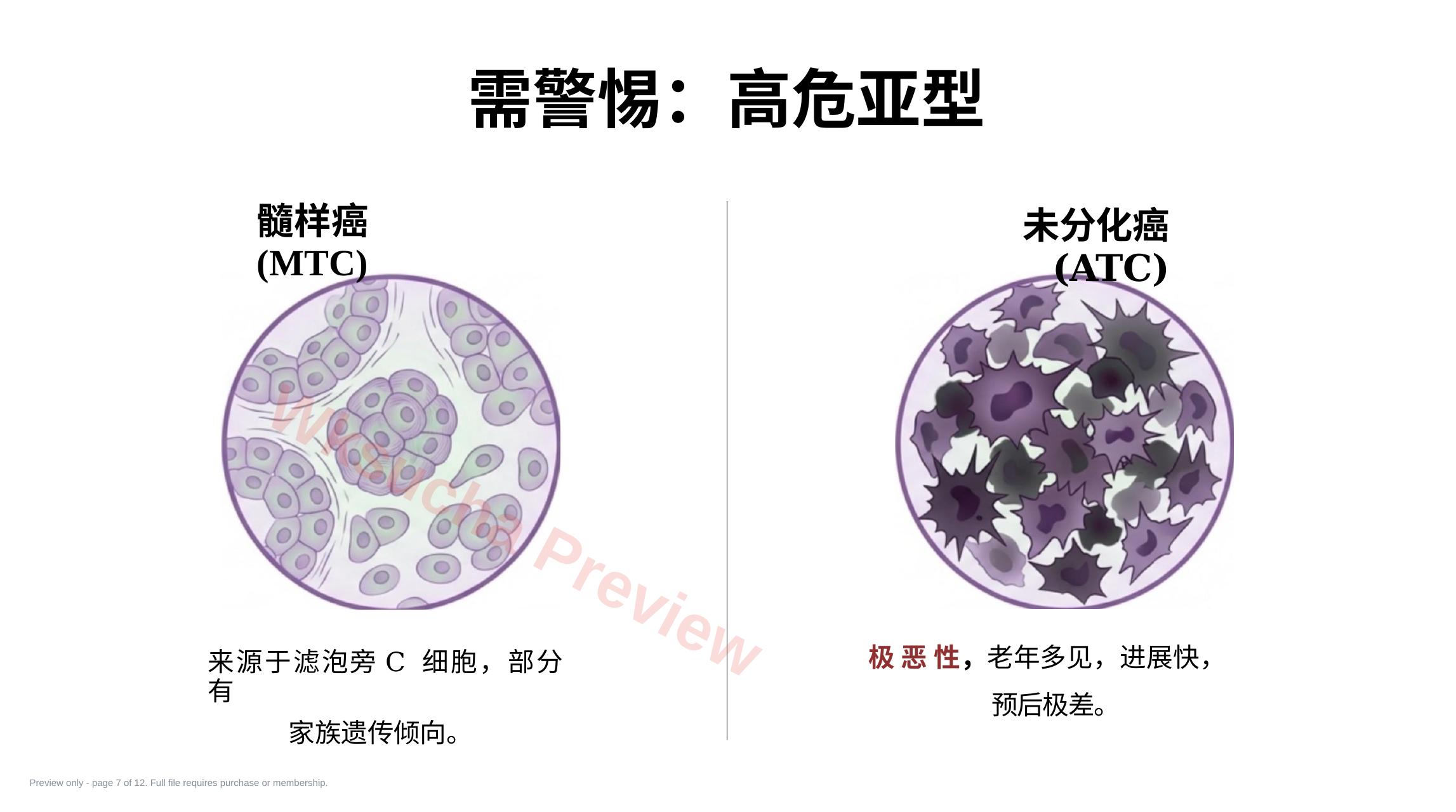 预览第 7 页