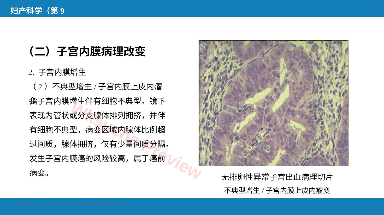 预览第 12 页