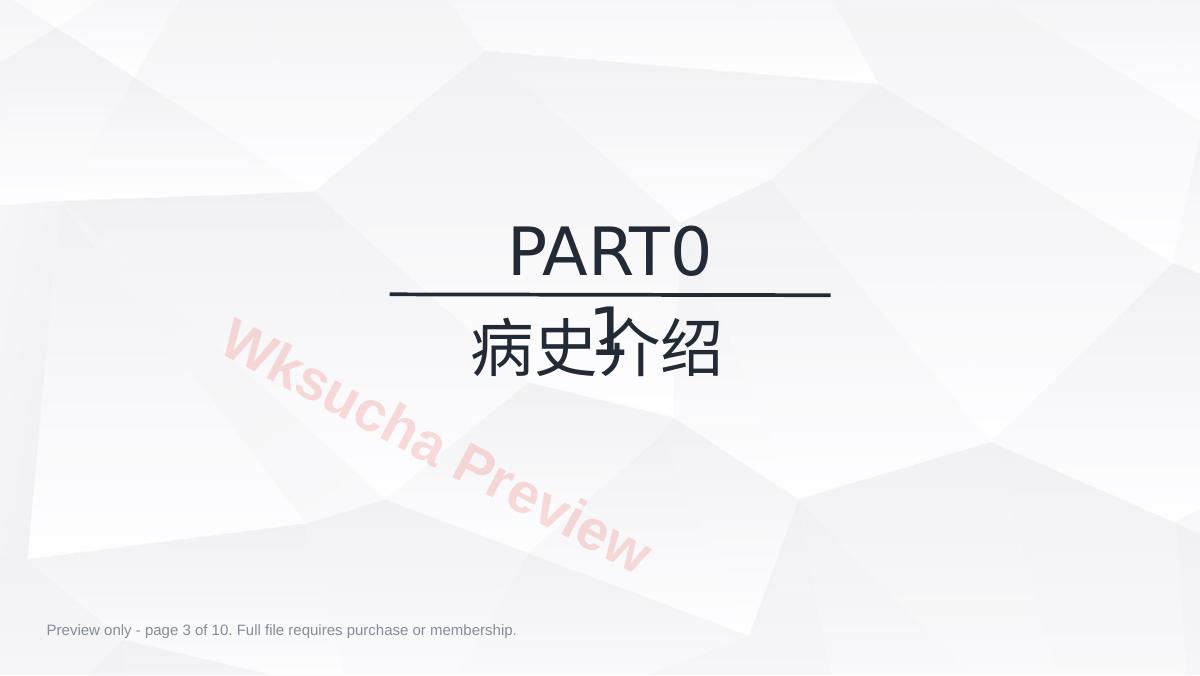 预览第 3 页