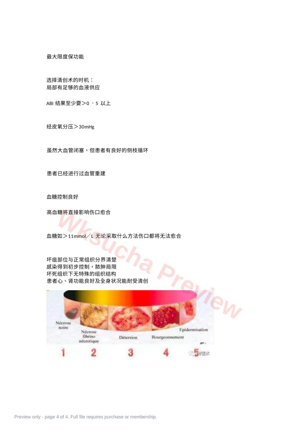 预览第 4 页