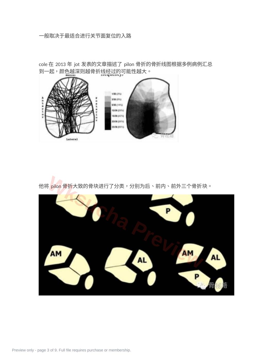 预览第 3 页