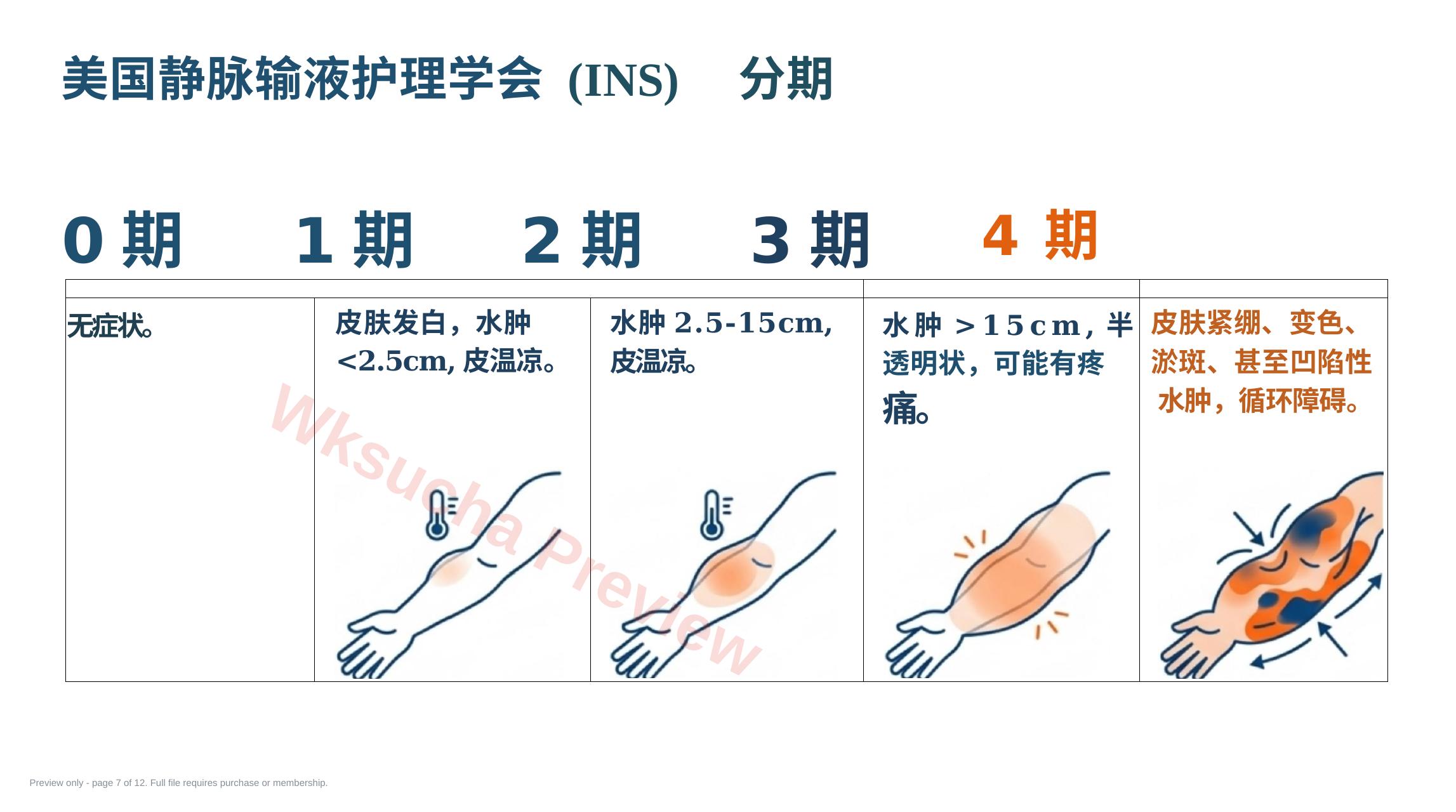 预览第 7 页