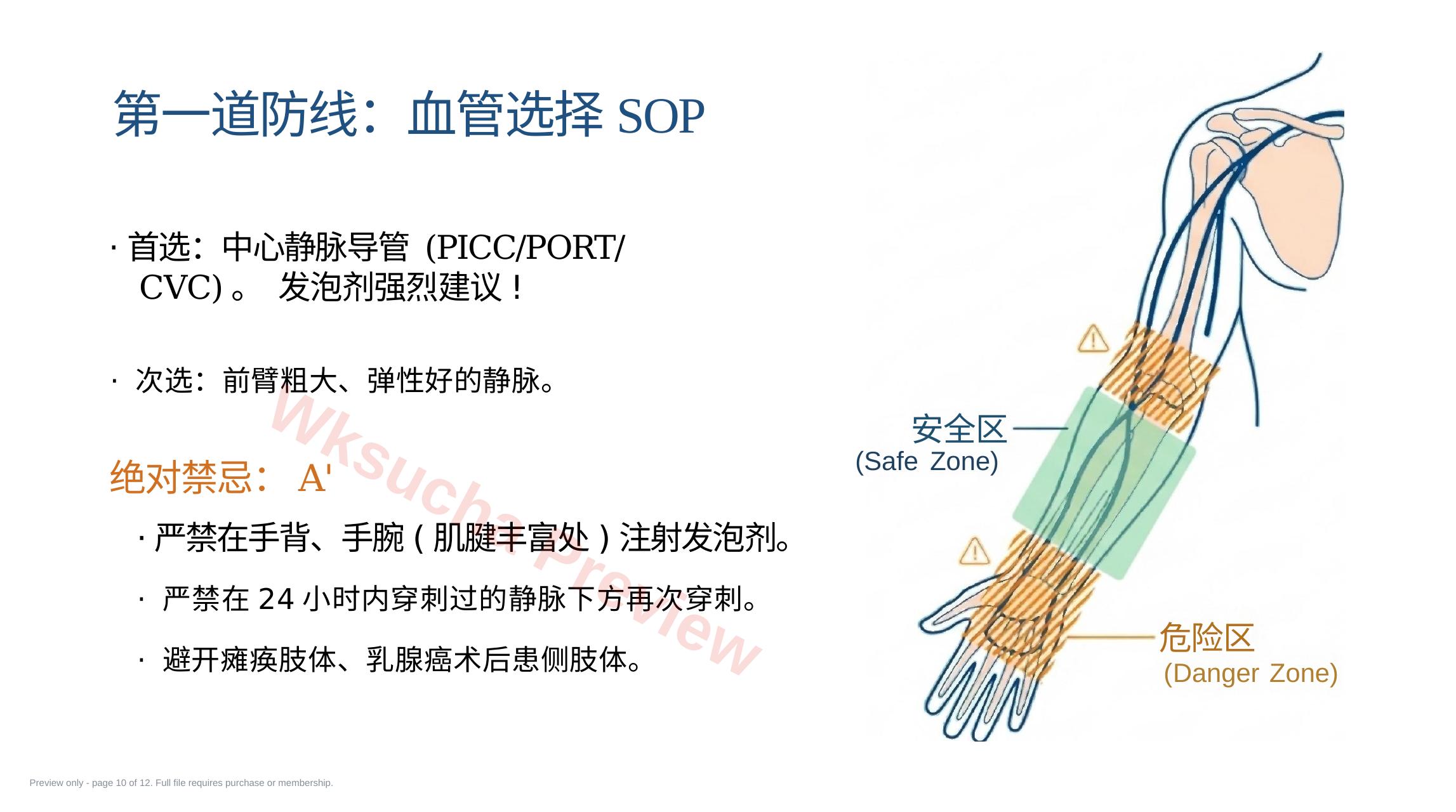 预览第 10 页