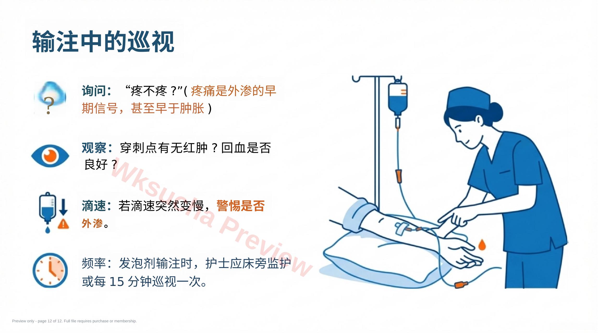 预览第 12 页