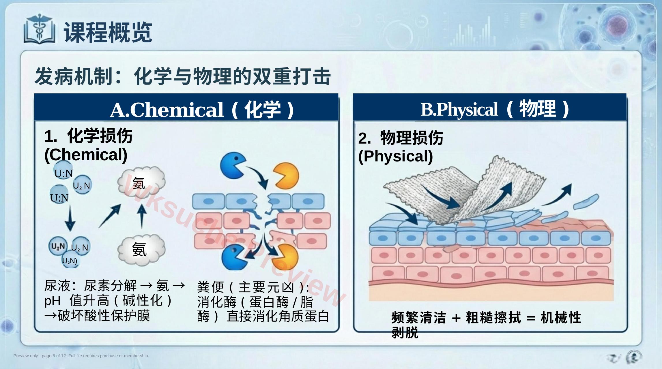 预览第 5 页