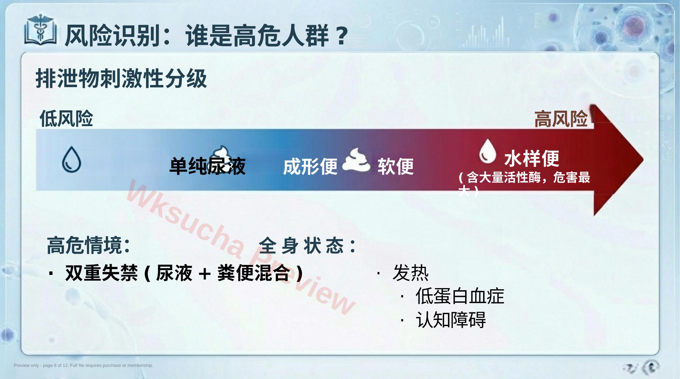 预览第 6 页