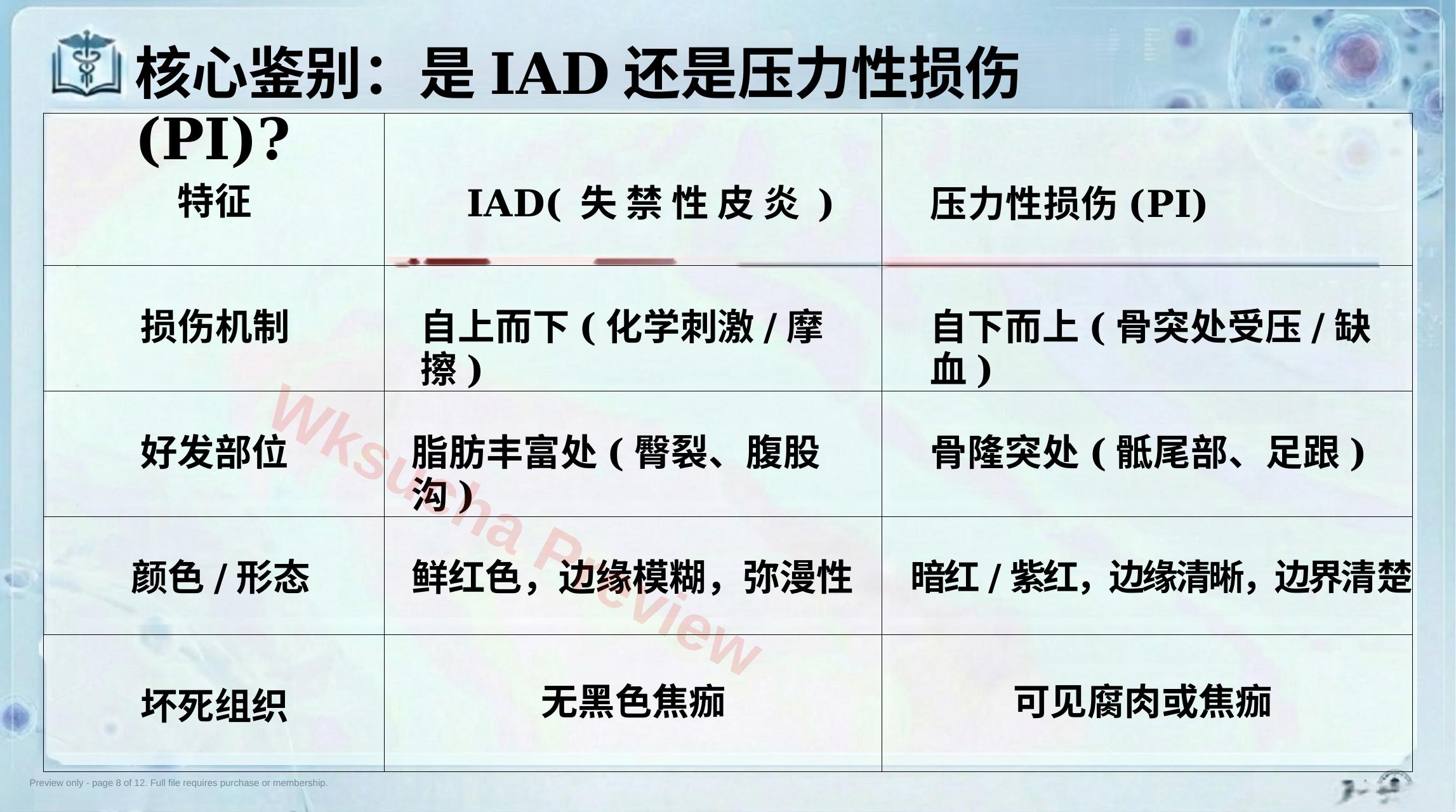 预览第 8 页