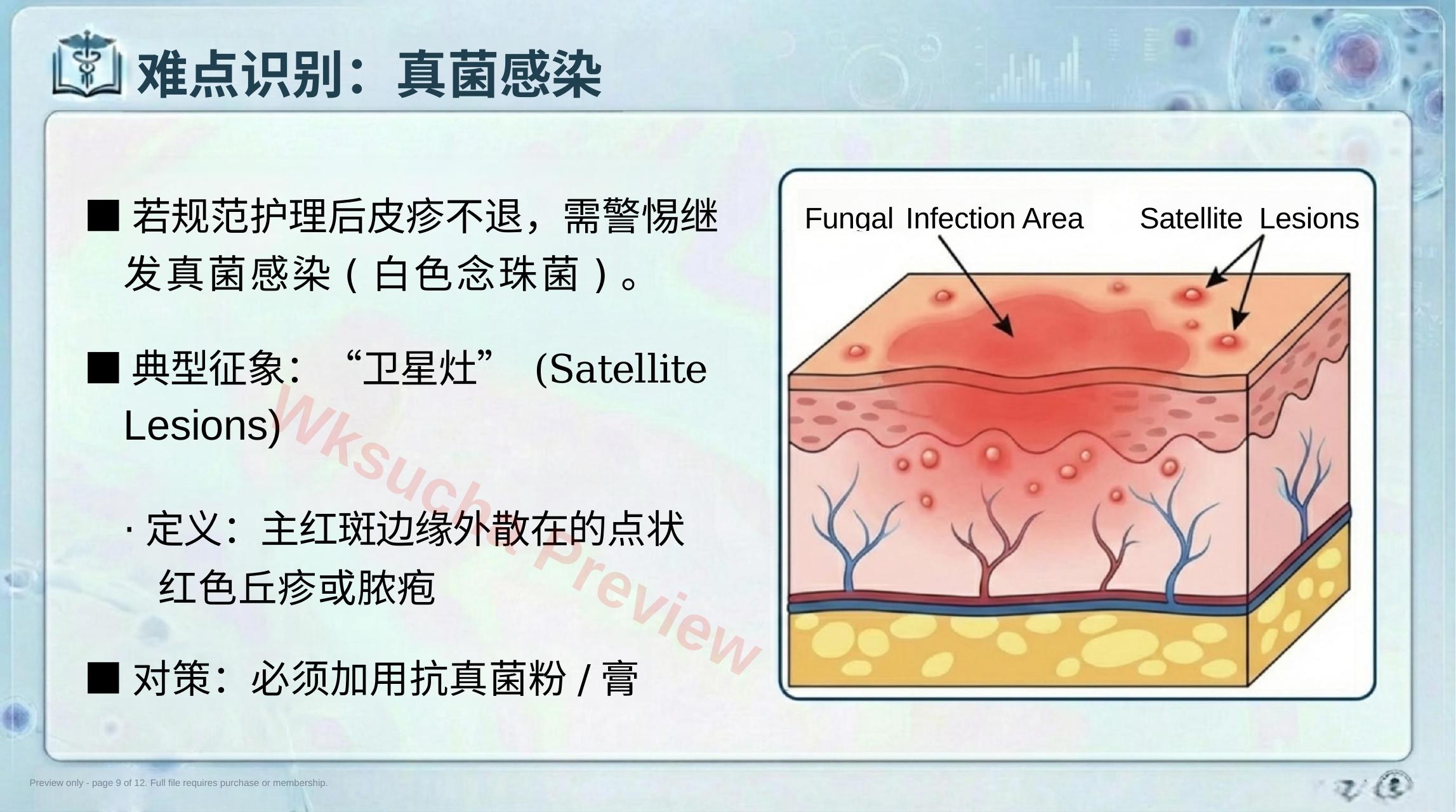 预览第 9 页