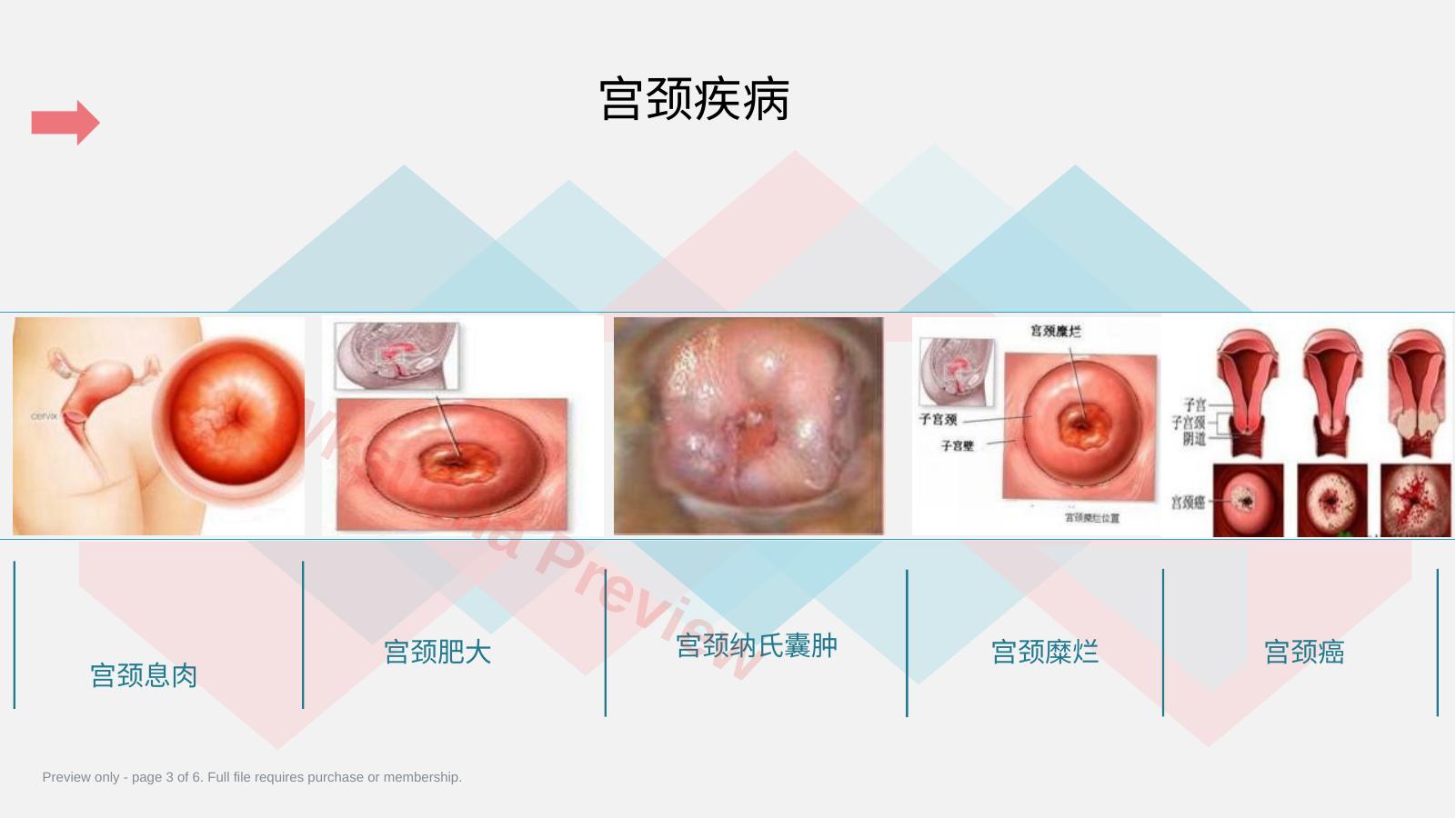 预览第 3 页