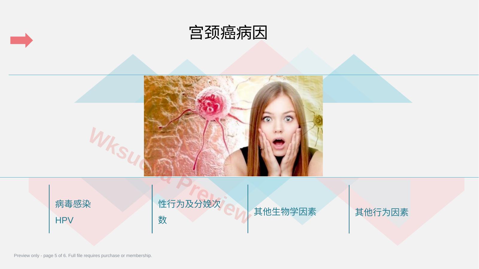 预览第 5 页